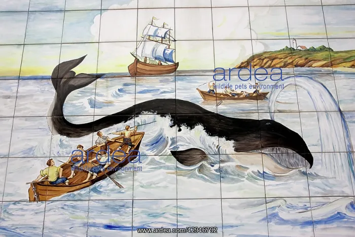 : Mural of small Spanish whaling boat harpooning : Mural of small Spanish whaling boat harpooning