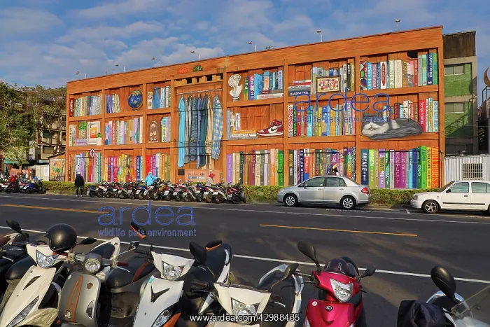  : Murals on buildings in Weiwu Mimi Village, Kaohsiung