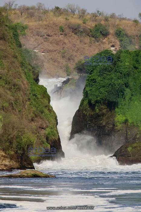 : The Murchison Falls of the river Nile in : The Murchison Falls of the river Nile in