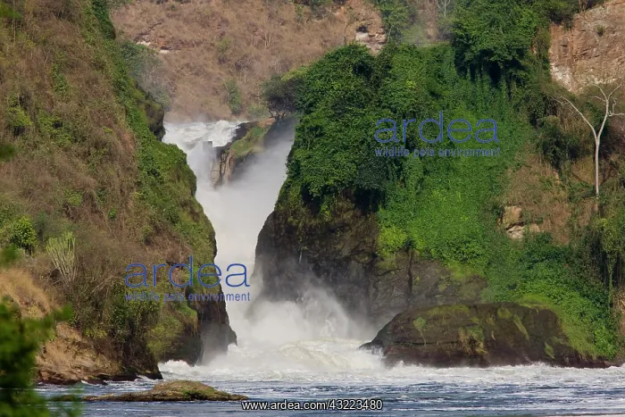: The Murchison Falls of the river Nile in : The Murchison Falls of the river Nile in