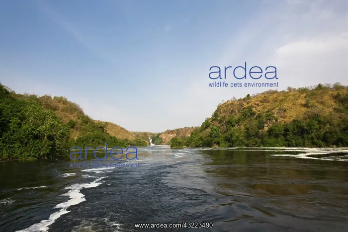 : The Murchison Falls of the river Nile in : The Murchison Falls of the river Nile in