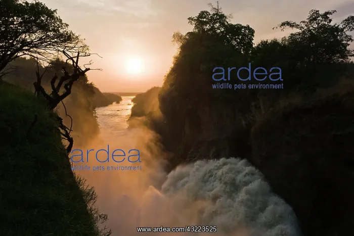 : The Murchison Falls of the river Nile in : The Murchison Falls of the river Nile in