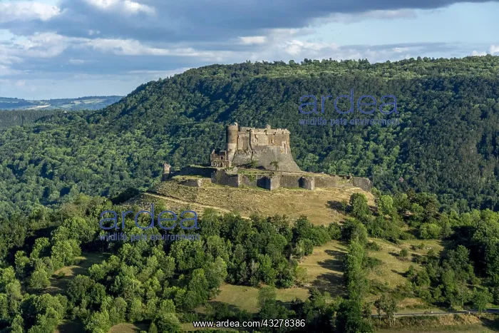 : Murol castle, Auvergne Volcanoes Natural Park, Puy : Murol castle, Auvergne Volcanoes Natural Park, Puy