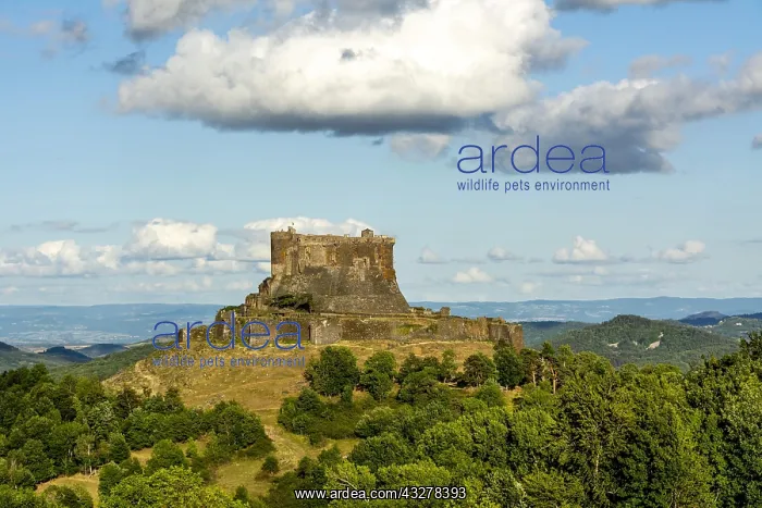: Murol castle, Auvergne Volcanoes Natural Park, Puy : Murol castle, Auvergne Volcanoes Natural Park, Puy