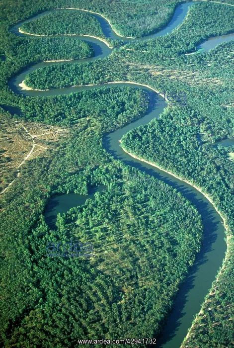 : Murray River & its meanders between Robinvale and : Murray River & its meanders between Robinvale and
