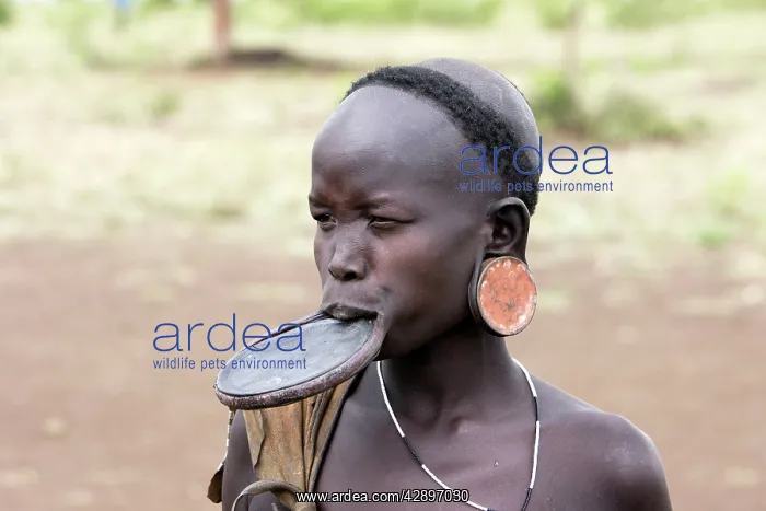 : Mursi people - woman with lip plate / plug / disk : Mursi people - woman with lip plate / plug / disk
