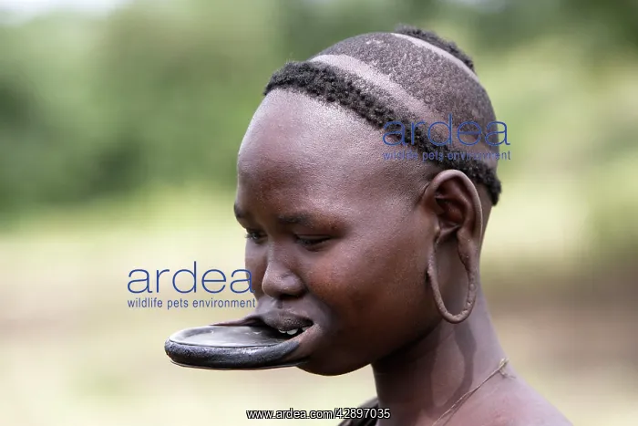: Mursi people - woman with lip plate / plug / disk : Mursi people - woman with lip plate / plug / disk