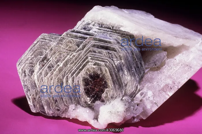 : Muscovite from Brazil : Muscovite from Brazil