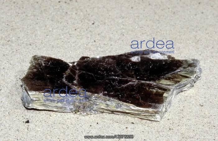: Muscovite (Mica) : Muscovite (Mica)