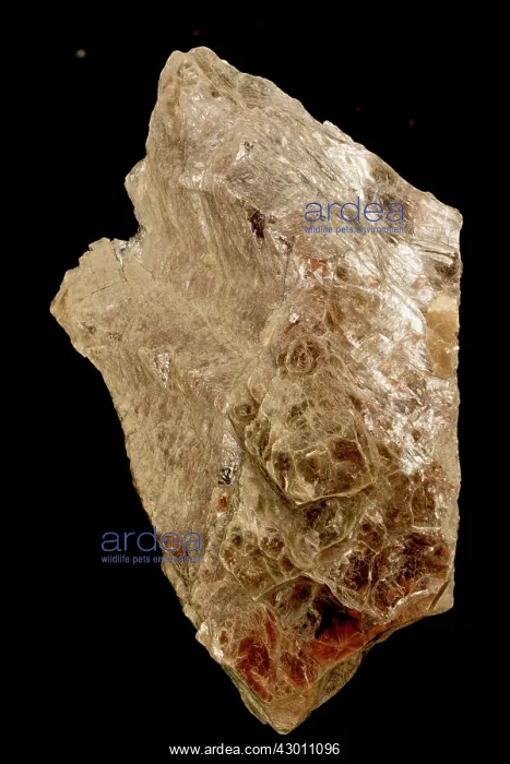  : Muscovite (MICA) Palermo, 1 Pegmatite