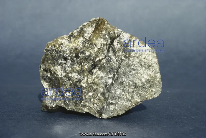 : Muscovite Schist : Muscovite Schist