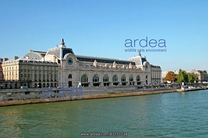 : Musee d'Orsay, La Seine, Paris : Musee d'Orsay, La Seine, Paris