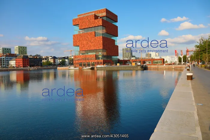 : Museum aan de Stroom, MAS, in Antwerp, Belgium : Museum aan de Stroom, MAS, in Antwerp, Belgium