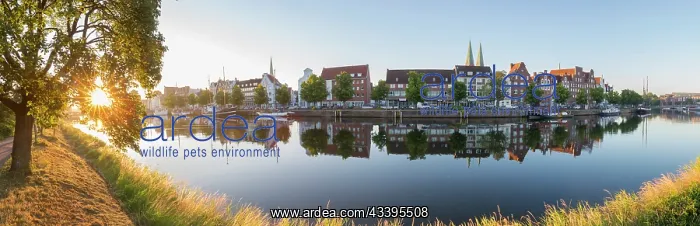 : Museum Harbour : Museum Harbour
