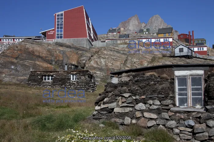 : Museum houses made of peat and rocks - Uummannaq, Greenland : Museum houses made of peat and rocks - Uummannaq, Greenland