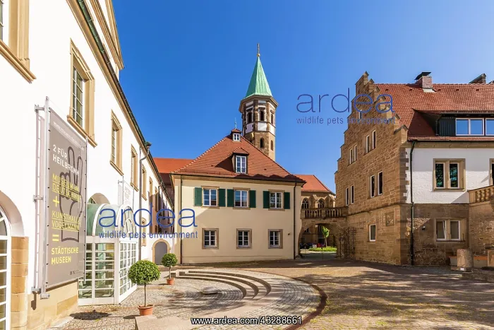 : Museum im Deutschhof and Kunsthalle Vogelmann im : Museum im Deutschhof and Kunsthalle Vogelmann im