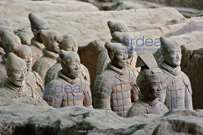 : Museum of Qin Terra Cotta Warriors and Horses : Museum of Qin Terra Cotta Warriors and Horses