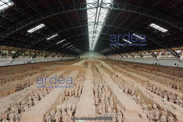: Museum of Qin Terra Cotta Warriors and Horses : Museum of Qin Terra Cotta Warriors and Horses
