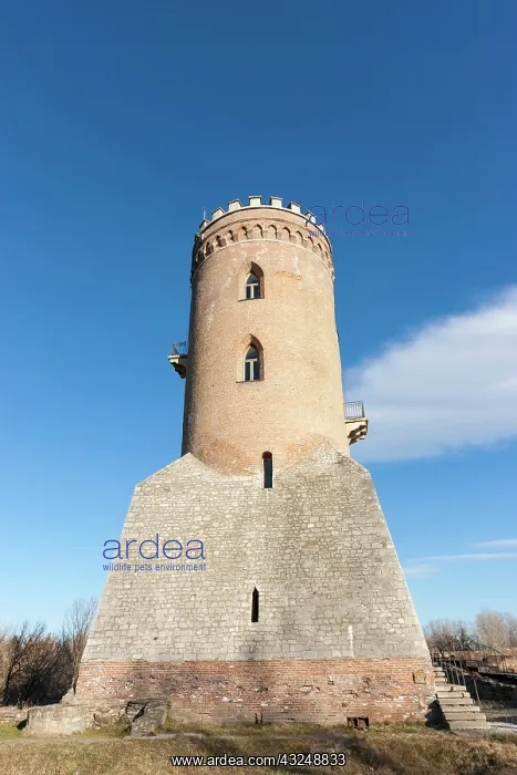 : Museum Vlad Tepes in the Chindia watch tower : Museum Vlad Tepes in the Chindia watch tower