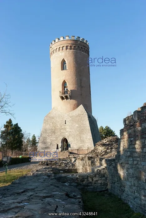 : Museum Vlad Tepes in the Chindia watch tower : Museum Vlad Tepes in the Chindia watch tower