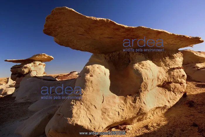 : Mushroom Hoodoos - eroded clay sculptures with