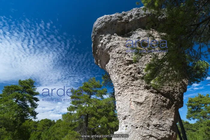 : Mushroom Rock, Ciudad Encantada, Serran&, xd860;de : Mushroom Rock, Ciudad Encantada, Serran&, xd860;de