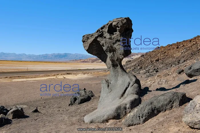 : Mushroom Rock rock formation, Death Valley National : Mushroom Rock rock formation, Death Valley National