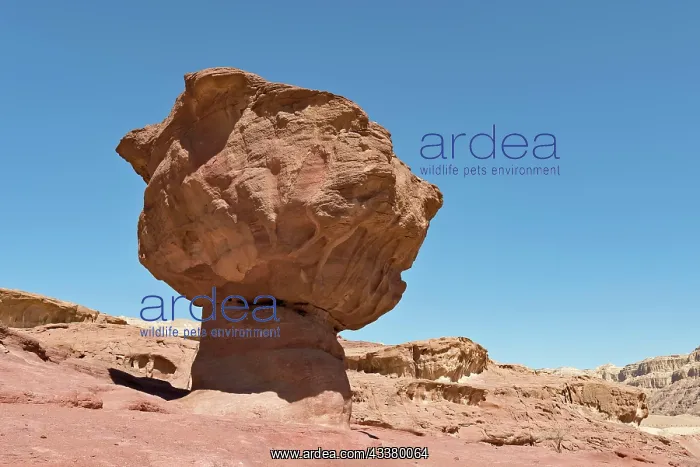 : Mushroom-shaped rock formation The Mushroom, Timna : Mushroom-shaped rock formation The Mushroom, Timna