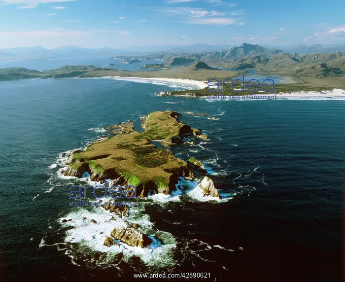 : Mutton Bird Island, Chatfield Point, Hannant Inlet : Mutton Bird Island, Chatfield Point, Hannant Inlet