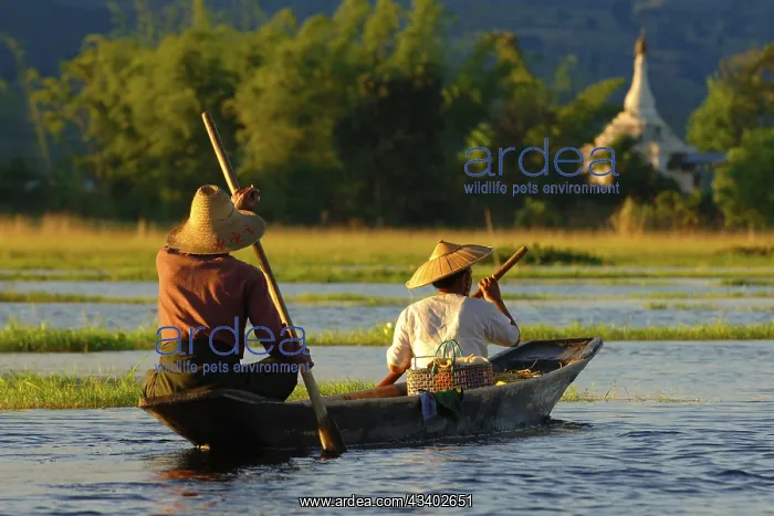 : Myanmar, Fisherman with boat at Inle Lake, Myanmar, Asia : Myanmar, Fisherman with boat at Inle Lake, Myanmar, Asia