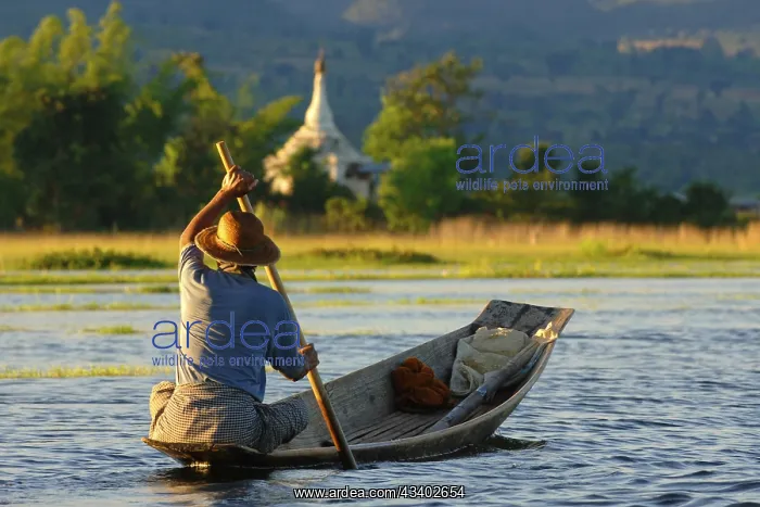 : Myanmar, Fisherman with boat at Inle Lake, Myanmar, Asia : Myanmar, Fisherman with boat at Inle Lake, Myanmar, Asia