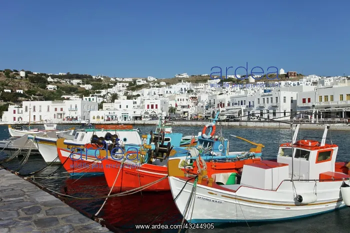 : Mykonos, Greece. Boats in the harbor : Mykonos, Greece. Boats in the harbor