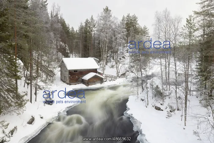: Myllykoski Mill 11, S-E Arndt : Myllykoski Mill 11, S-E Arndt