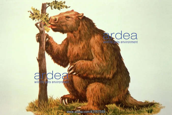 : Mylodont Ground Sloth : Mylodont Ground Sloth