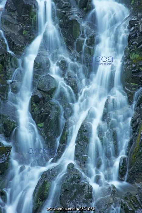 : Myrtle Falls. Mount Rainier National Park, Washington : Myrtle Falls. Mount Rainier National Park, Washington