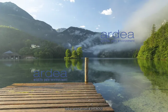 : Mystical morning at Konigssee in Schonau with boathouses and Christlieger : Mystical morning at Konigssee in Schonau with boathouses and Christlieger