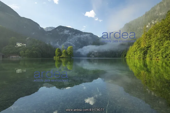 : Mystical morning at Konigssee in Schonau with boathouses and Christlieger : Mystical morning at Konigssee in Schonau with boathouses and Christlieger