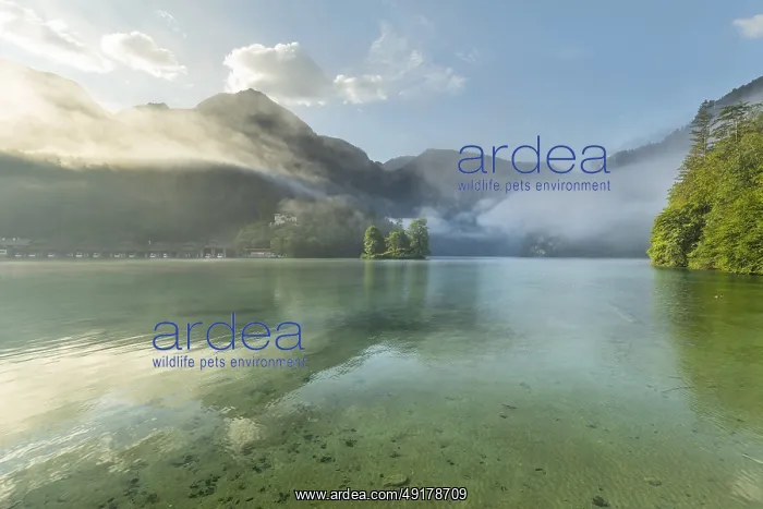 : Mystical morning at Konigssee in Schonau with boathouses and Christlieger : Mystical morning at Konigssee in Schonau with boathouses and Christlieger