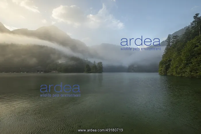 : Mystical morning at Konigssee in Schonau with boathouses and Christlieger : Mystical morning at Konigssee in Schonau with boathouses and Christlieger