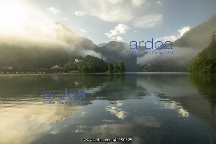 : Mystical morning at Konigssee in Schonau with boathouses and Christlieger : Mystical morning at Konigssee in Schonau with boathouses and Christlieger