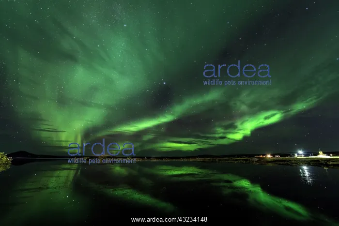 : Myvatn Lake at night with Northern Lights / Aurora : Myvatn Lake at night with Northern Lights / Aurora