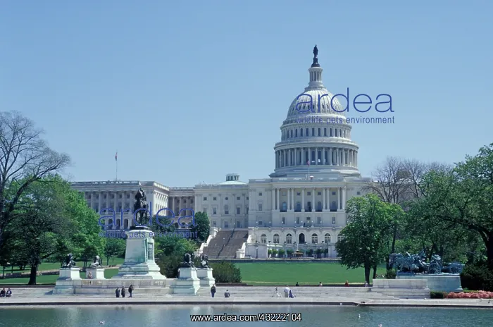 : NA, USA, Washington D.C. The Capitol building : NA, USA, Washington D.C. The Capitol building