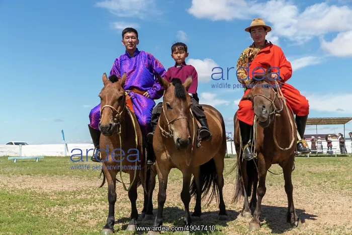 : Naadam. Asie, Mongolie, Est de la Mongolie, Steppe : Naadam. Asie, Mongolie, Est de la Mongolie, Steppe