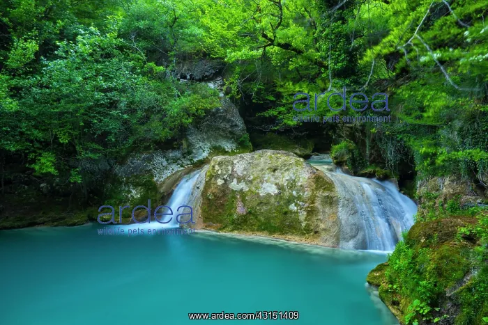 : Nacedero del Urederra, Urbasa Andia Natural Park : Nacedero del Urederra, Urbasa Andia Natural Park