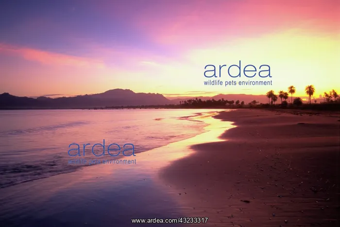 : Nadi, Fiji, South Pacific : Nadi, Fiji, South Pacific