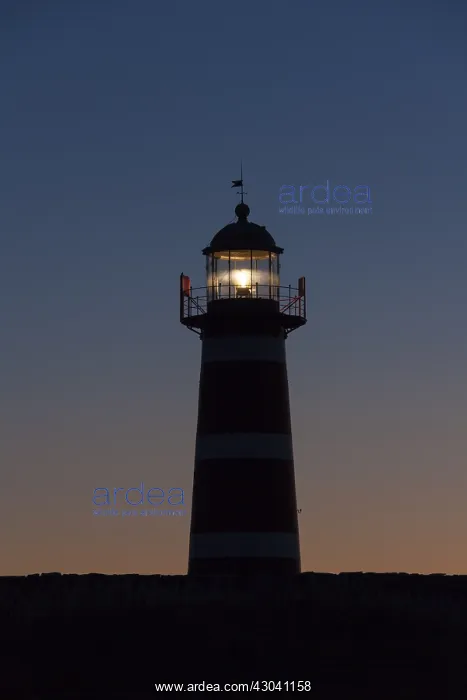 : Naersholmen Lighthouse - Gotland island - Sweden : Naersholmen Lighthouse - Gotland island - Sweden