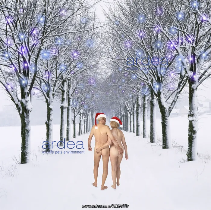 : Naked couple in Christmas hats walking down tree-lined : Naked couple in Christmas hats walking down tree-lined