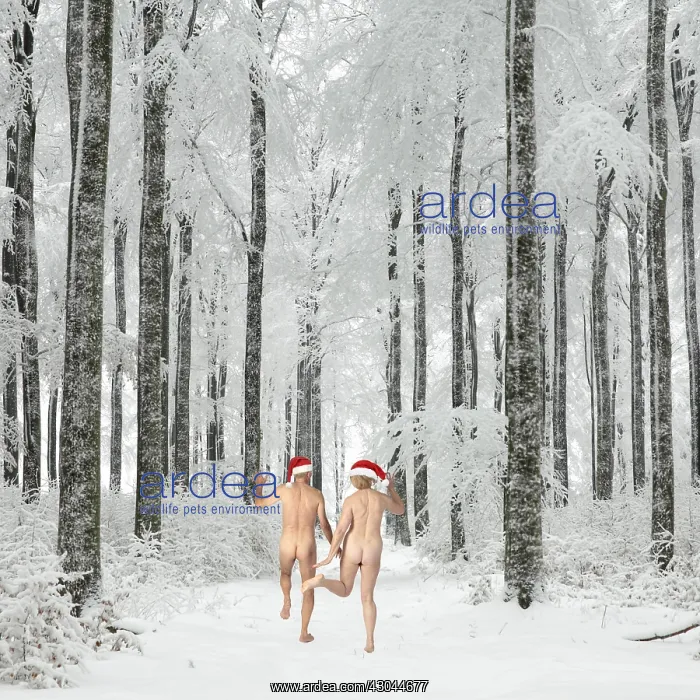 : Naked couple wearing Christmas hats dancing through : Naked couple wearing Christmas hats dancing through