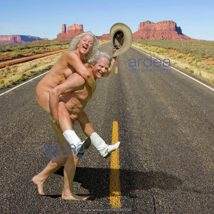 : Naked couple wearing cowboy boots and hat crossing road in M : Naked couple wearing cowboy boots and hat crossing road in M