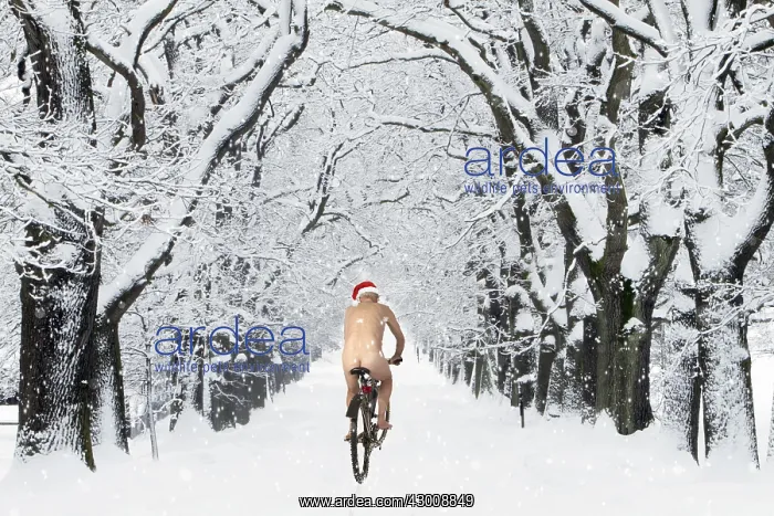 : Naked male with Christmas hat on bike riding : Naked male with Christmas hat on bike riding